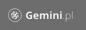 gemini-nowe