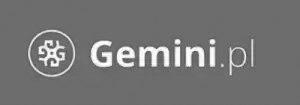 gemini-nowe